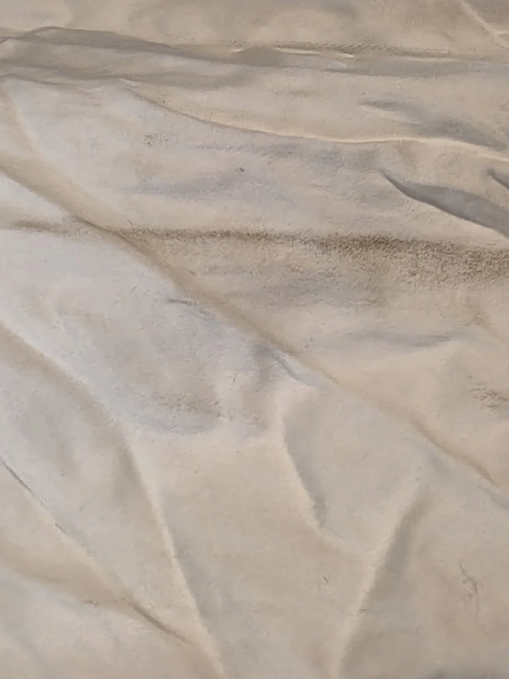 Quince Signature Giza Cotton Sateen Duvet Cover - King/Cal-King - White